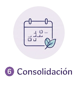 Paso 6